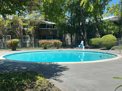A blue swimming pool surrounded by green trees and bushes.