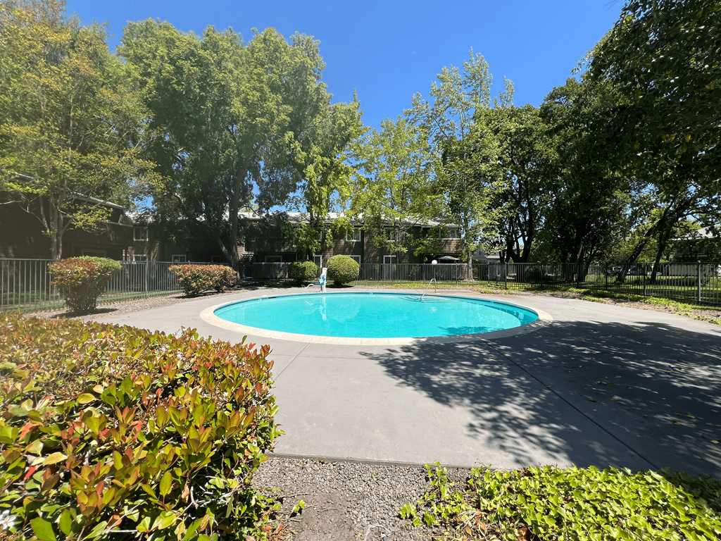 A small pool surrounded by green bushes and trees.