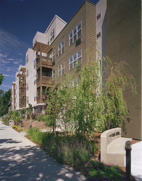 a row of apartment buildings with a sidewalk and trees