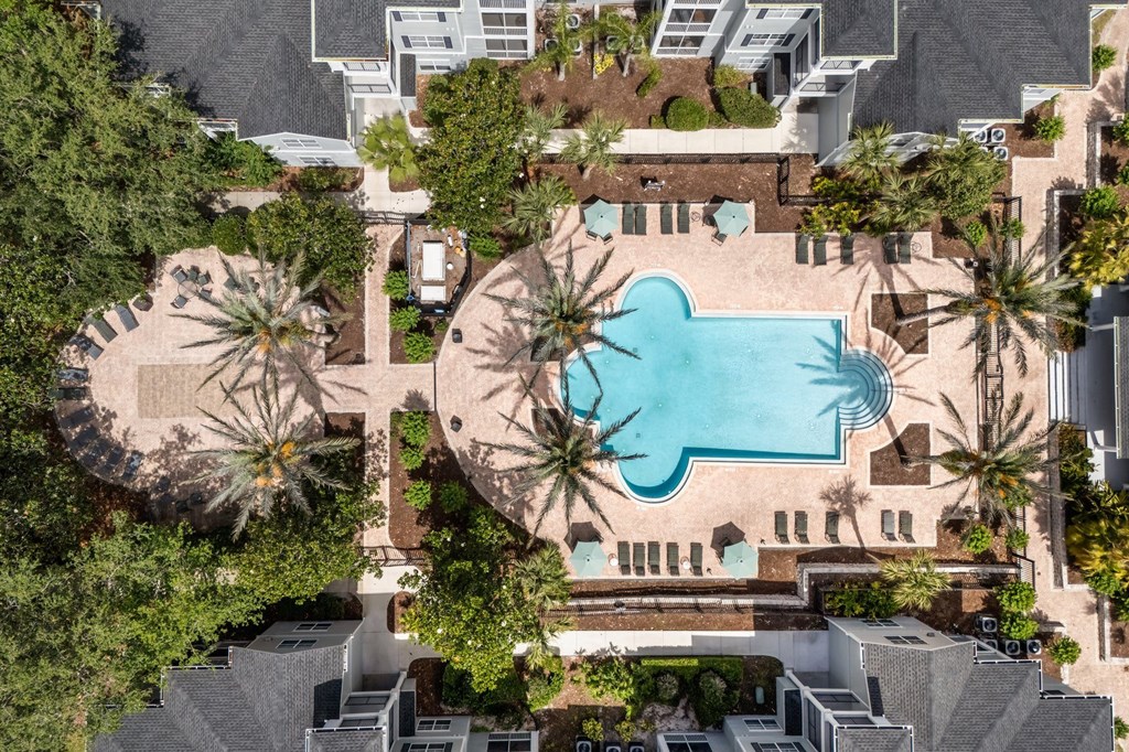 A swimming pool surrounded by palm trees and a building.