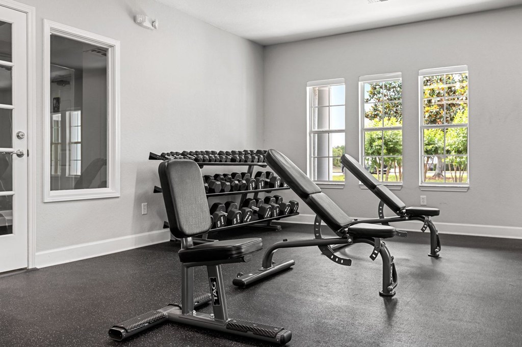 A home gym with a row of dumbbells and a bench.
