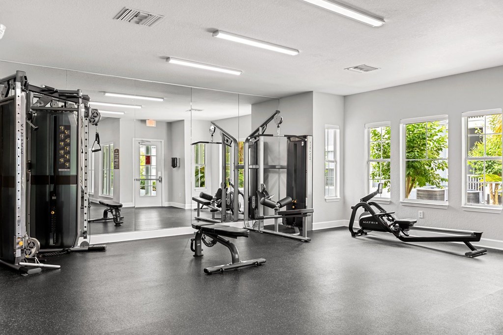 A spacious gym with a variety of equipment including a treadmill, a bench press, and a squat rack.