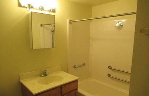 A bathroom with a sink, mirror, and shower.