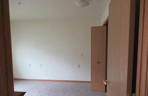 A room with a brown door and a carpeted floor.