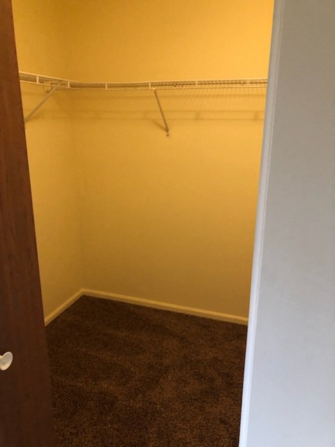 A white closet with a brown carpet.