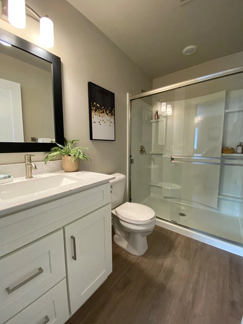 a bathroom with a toilet and a sink and a shower