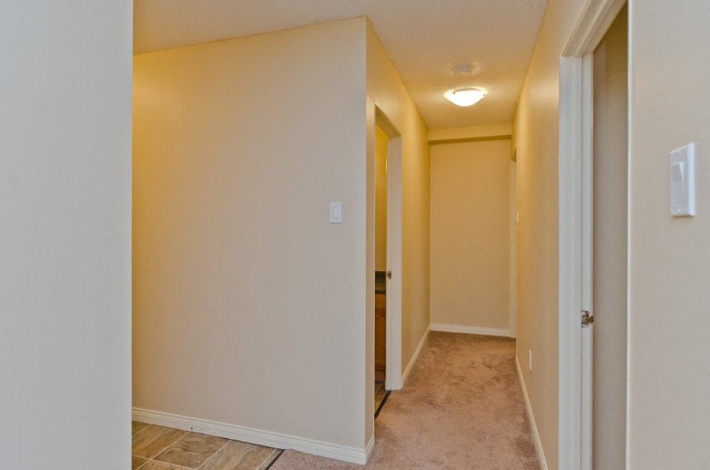 linoleum  and carpet flooring