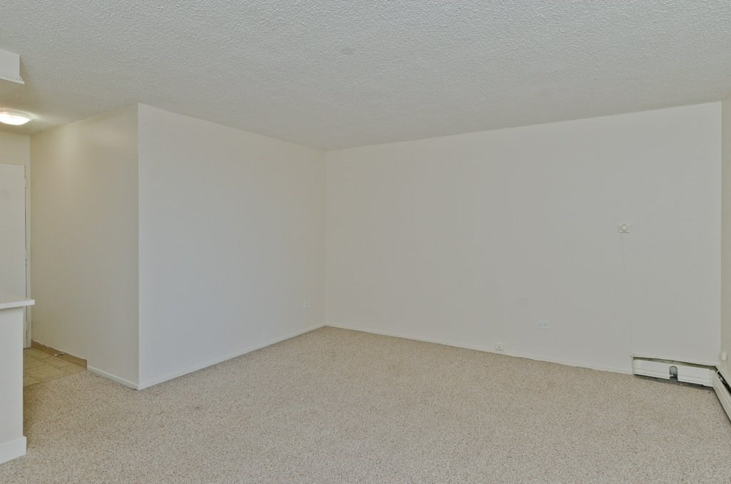 Spacious living room