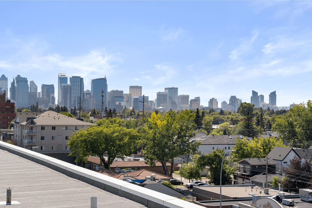 the skyline of the city from the roof of a building