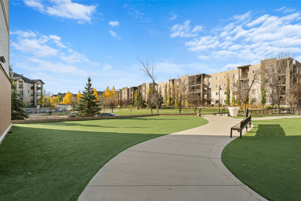 a park with green grass and buildings in the background