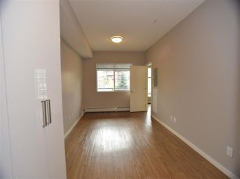 Aura residential rental property laminate vinyl flooring