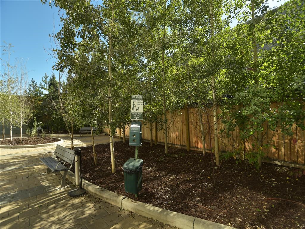 Mission 17 residential rental apartments  ground level dog run