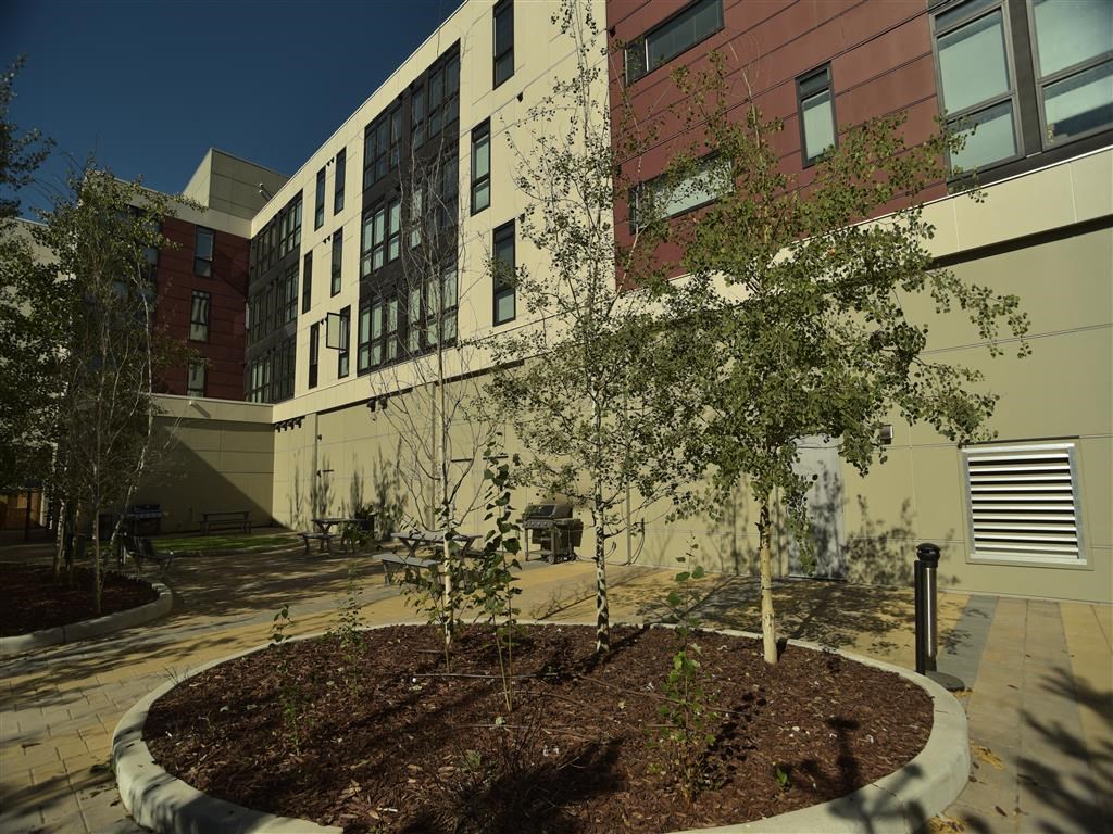 Mission 17 residential rental apartments BBQ Patio and pet area