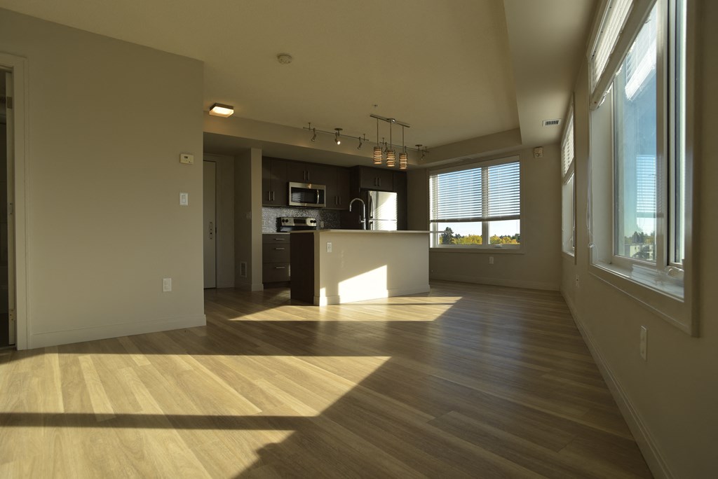Bright Modern Kitchen