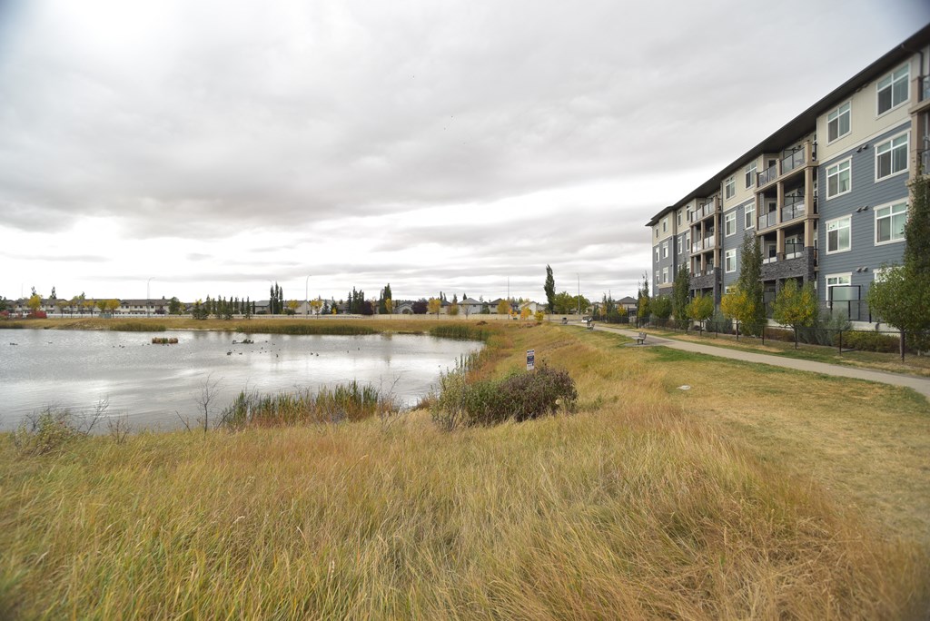 Aqua residential rental apartments scenic pond and pathway
