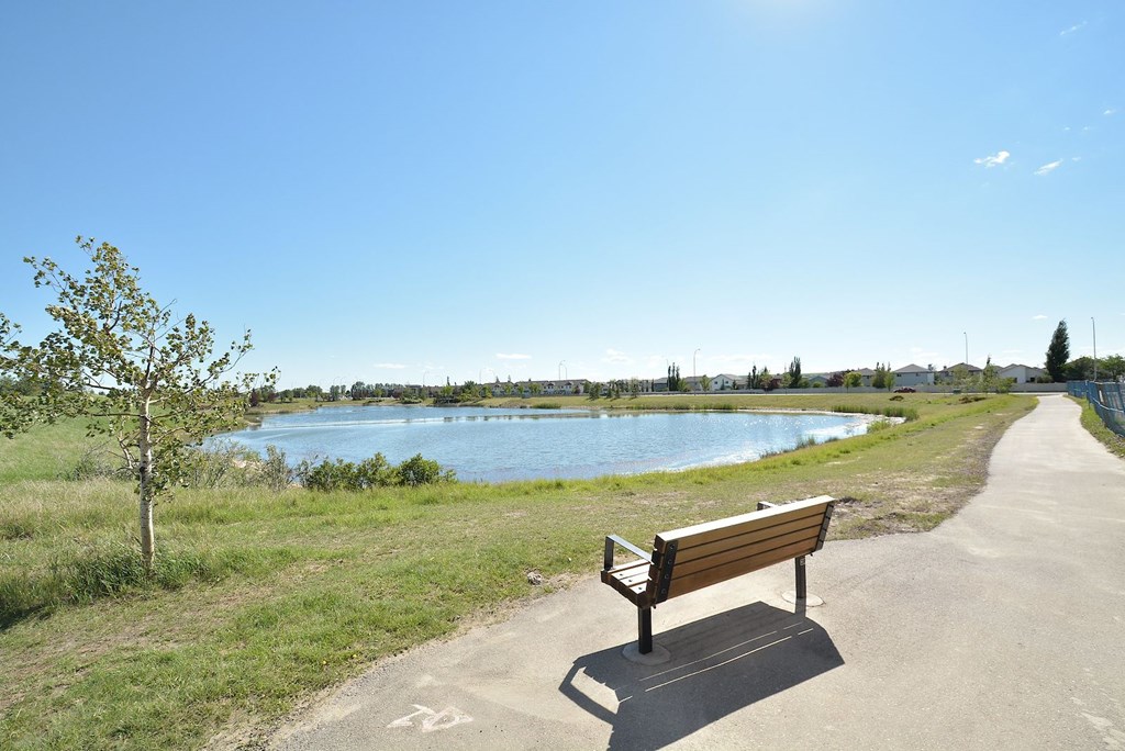 A park bench is situated on a path next to a lake.