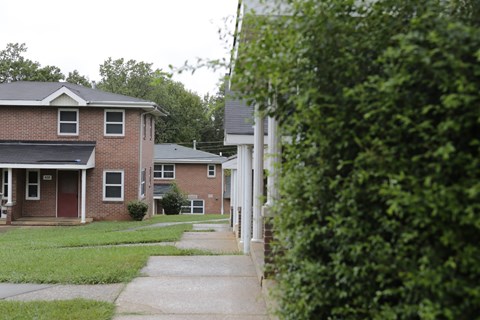 A house with a red door is surrounded by greenery.