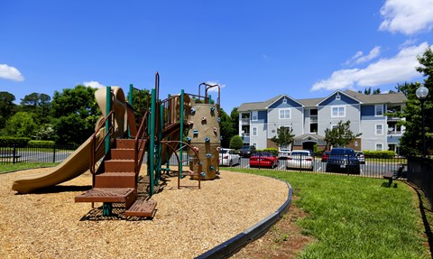 A playground with a slide, swings, and a climbing structure.