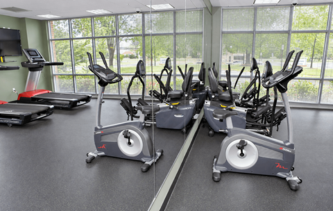 A gym with treadmills and elliptical machines.