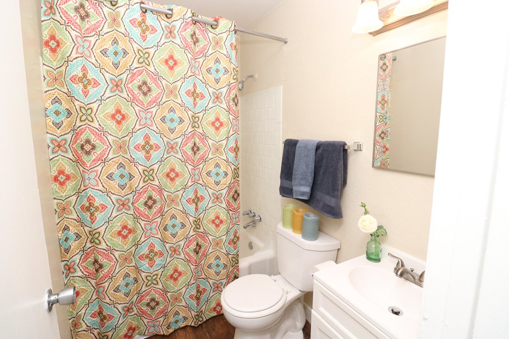 a bathroom with a shower curtain and a toilet and a sink