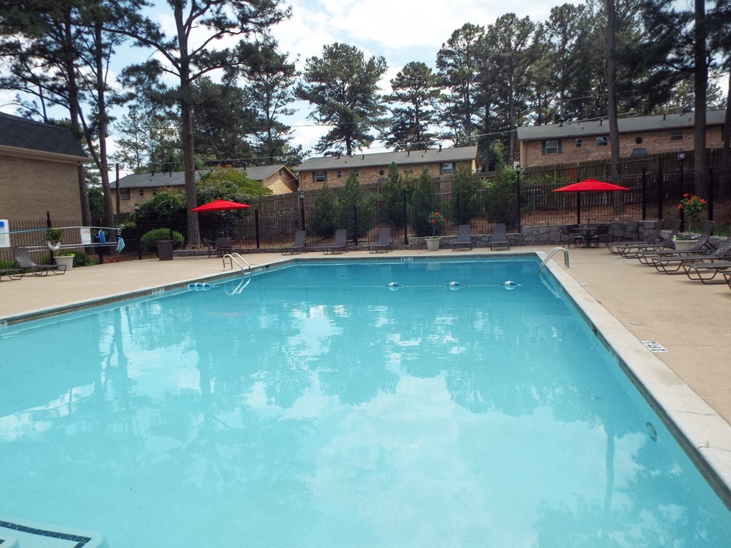 the swimming pool at our hotel