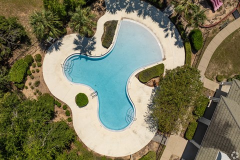 A swimming pool surrounded by trees and bushes.