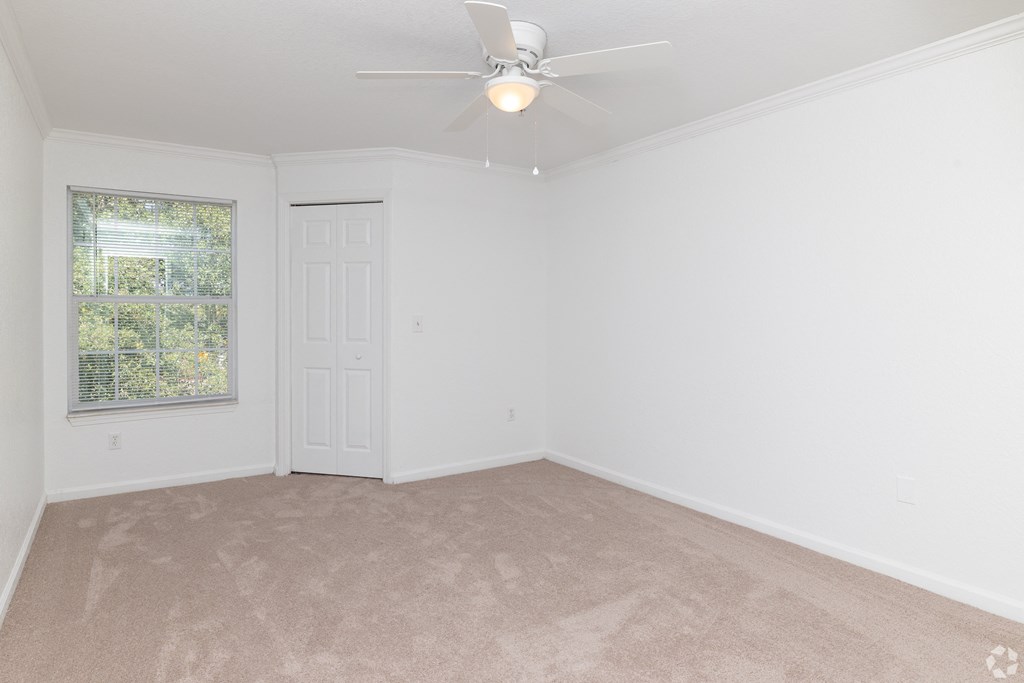 A room with a ceiling fan and carpeted floor.