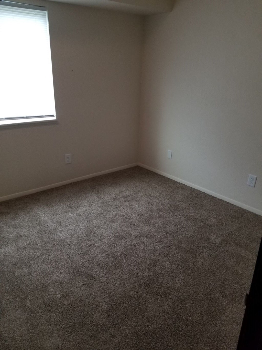 a room with a carpeted floor and a window