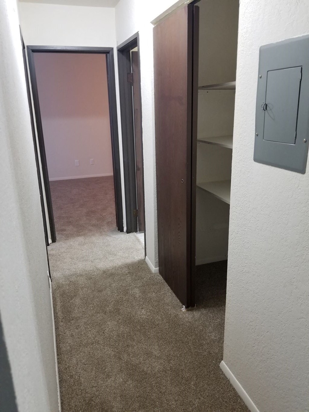 a room with a carpeted hallway with three doors and a closet