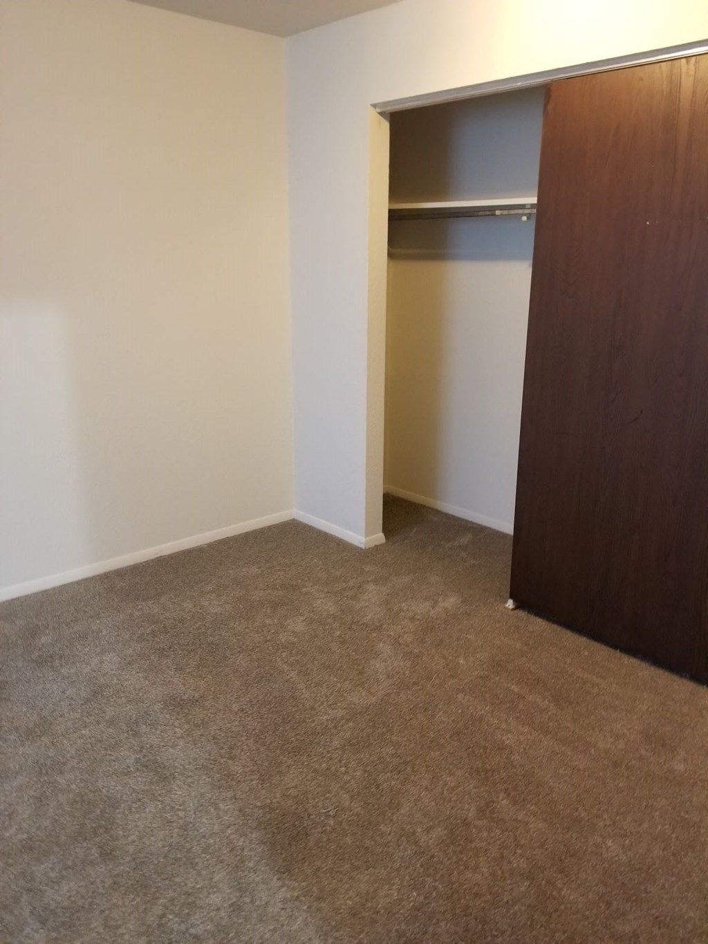 a room with a closet and a carpet
