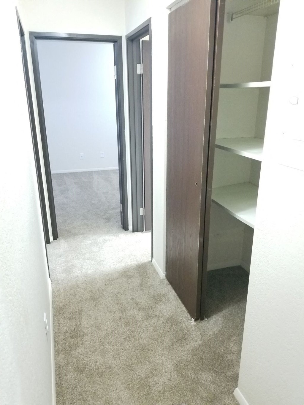 a room with a carpeted floor and a closet and a mirror