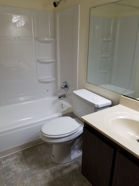 A white toilet sits next to a bathtub in a bathroom.