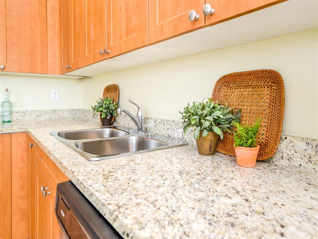 a kitchen counter with a sink and plants on it