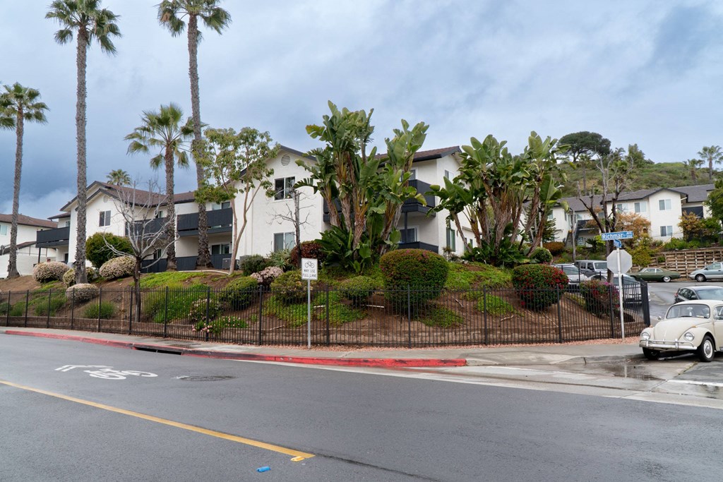 a row of houses with palm trees in front of a street
