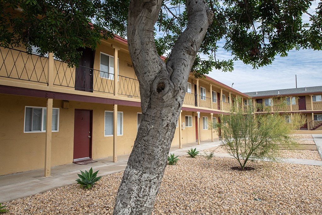 a tree in front of a building in a courtyard at Villa Primavera Apartments, National City, CA 91950