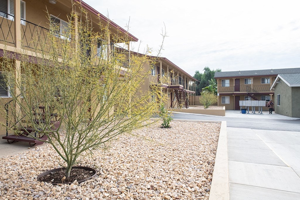 a yard with a tree in front of a building at Villa Primavera Apartments, National City, CA