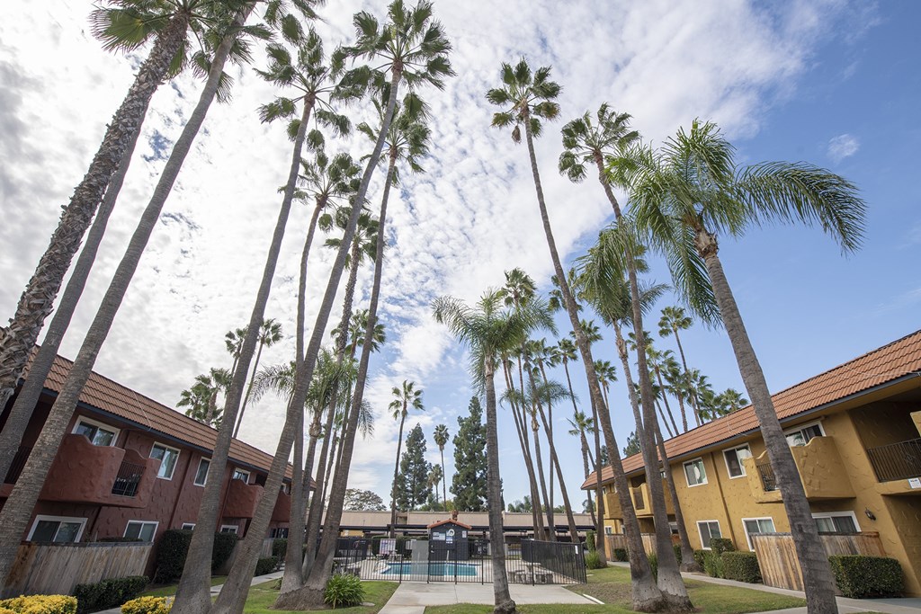 a group of palm trees in front of a building at Villa Quixote Apartments, California