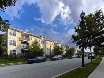1876 Parkview Boulevard 1-2 Beds Apartment for Rent - Photo Gallery 3
