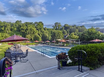 1876 Parkview Boulevard 1-2 Beds Apartment for Rent - Photo Gallery 5