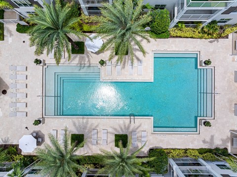 A swimming pool surrounded by palm trees and a building.