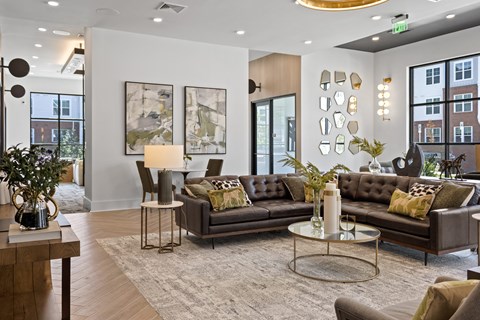 A modern living room with a brown leather sofa and a glass coffee table.
