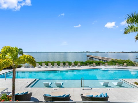 A pool with lounge chairs and a palm tree.