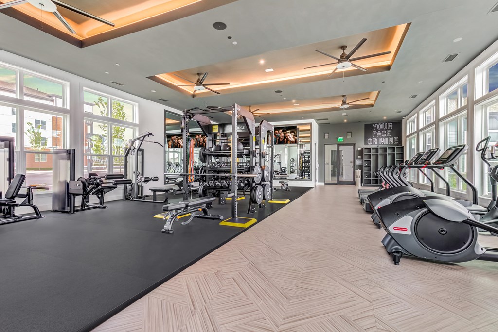 a gym with weights and cardio equipment and large windows
