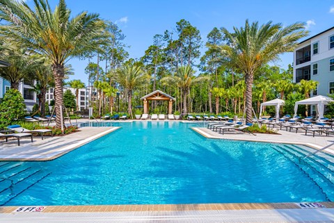 A large swimming pool surrounded by palm trees and lounge chairs.