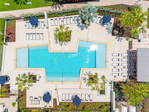 An aerial view of a pool surrounded by lounge chairs and plants.