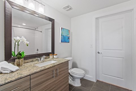 a bathroom with a sink and a toilet and a mirror