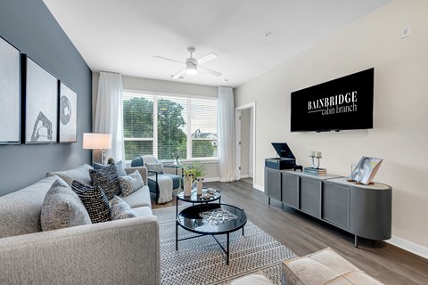 A living room with a grey couch and a coffee table.
