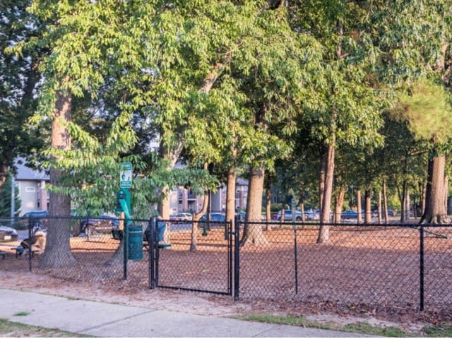 Dog Park