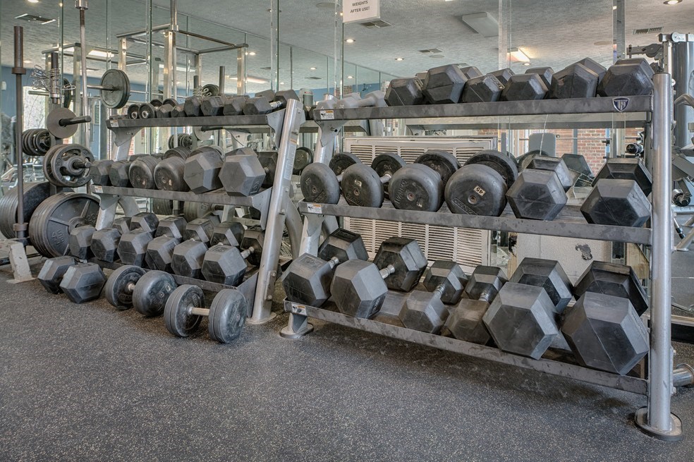 Free Weights