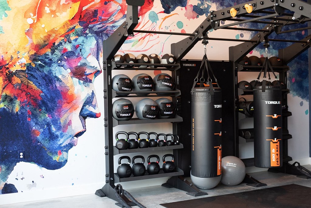 Fitness Center With Modern Equipment at Novi Flats, Concord
